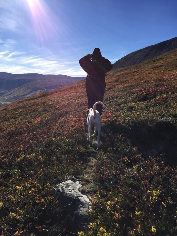 Magalaupe Camping Oppdal Kültér fotó